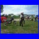 DSCF0468.jpg