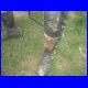 DSCF0477.jpg