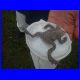 DSCF0483.jpg